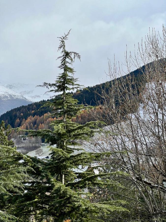 Il Pettirosso - Casa Vacanze Bormio Exterior foto